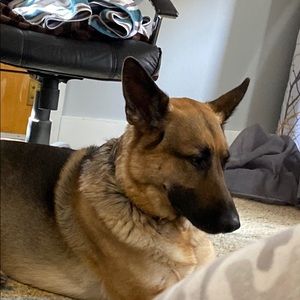 Meet your Posher, Malia